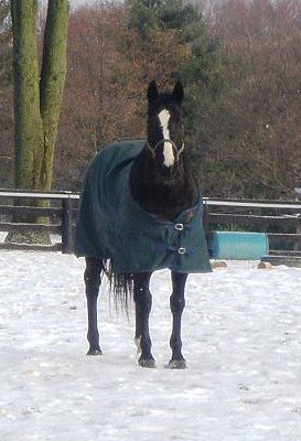 Chic Bug in her blanket