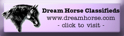 Dream Horse Classifieds